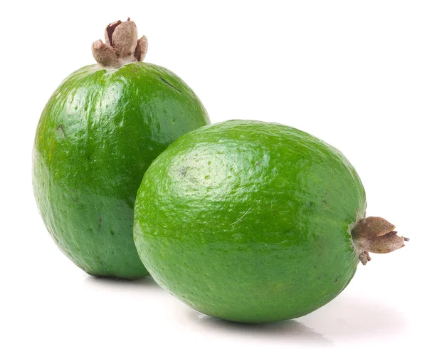 Tropische vruchten feijoa Acca sellowiana geïsoleerd op witte achtergrond — Stockfoto