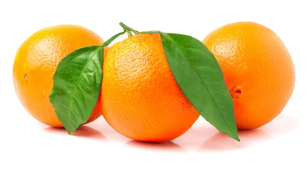Yeşil yaprak ile üç portakal — Stok fotoğraf