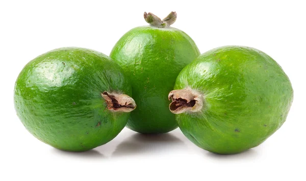 Tropische vruchten feijoa Acca sellowiana — Stockfoto