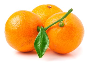 Yaprak ile üç mandarin
