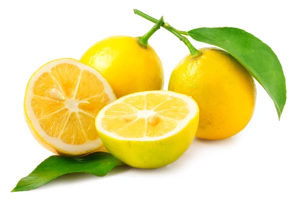 Dos limones - uno cortado por la mitad sobre fondo blanco —  Fotos de Stock