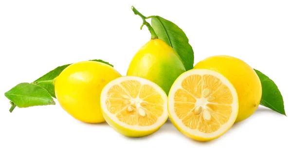 Lemons isolated on a white background — Stock Photo, Image