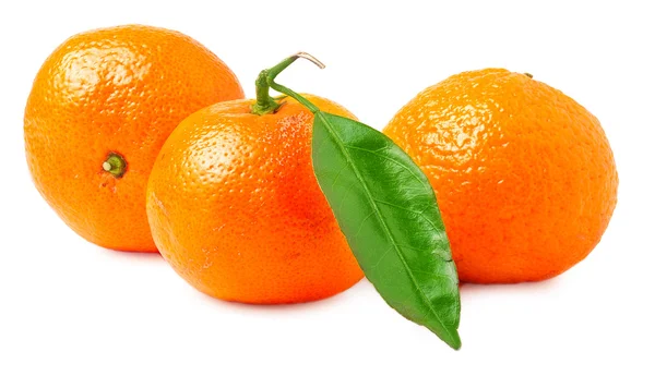 Три спелых мандарина на белом фоне — стоковое фото