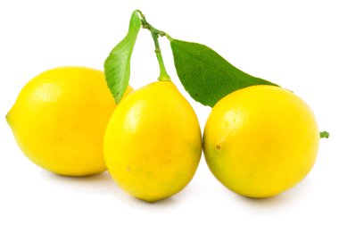 Beyaz arka planda üç limon
