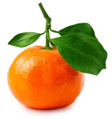 Bir mandalina veya turuncu beyaz izole yaprakları ile