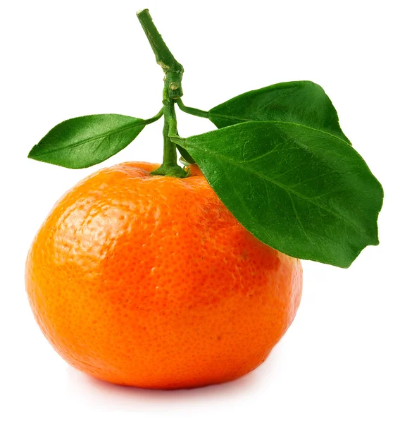 En tangerine eller orange med blad isolerad på vit — Stockfoto