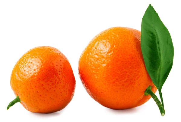 Dwie dojrzałe mandarynka na białym tle — Zdjęcie stockowe