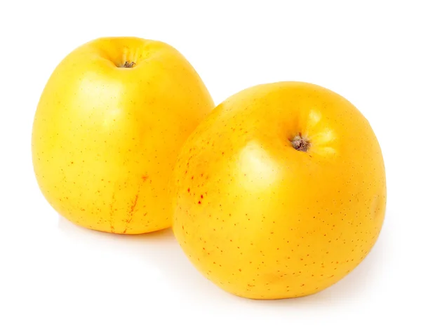 Dos manzanas amarillas sobre un fondo blanco — Foto de Stock