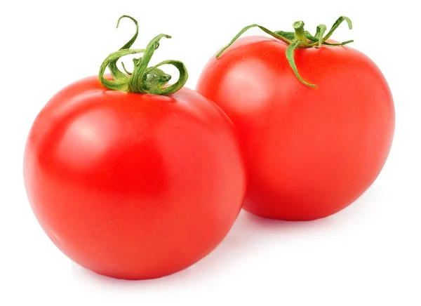 Tomaten isoliert auf weißem Hintergrund — Stockfoto