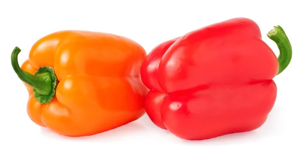 Farbige Paprika isoliert auf weißem Hintergrund — Stockfoto