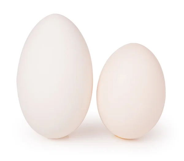 stock image Two big goose eggs .Isolated on white background