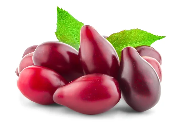 Berries dogwood on a white — Stock Photo, Image