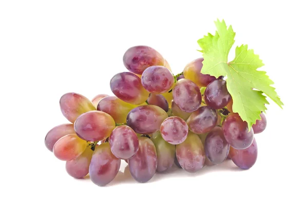 Ripe red grape — Stock Photo, Image