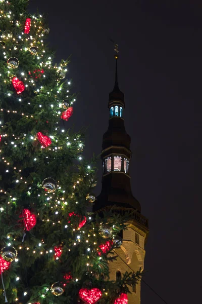 Noel ağacı ve belediye binası kulesi. Tallinn, Estonya.