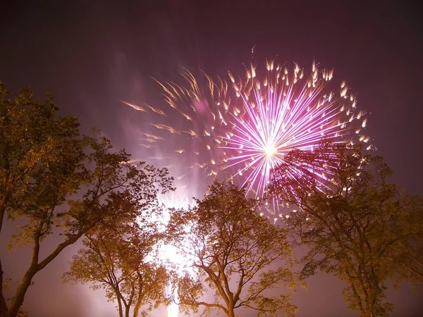 Fireworks behind the trees in summer celebration