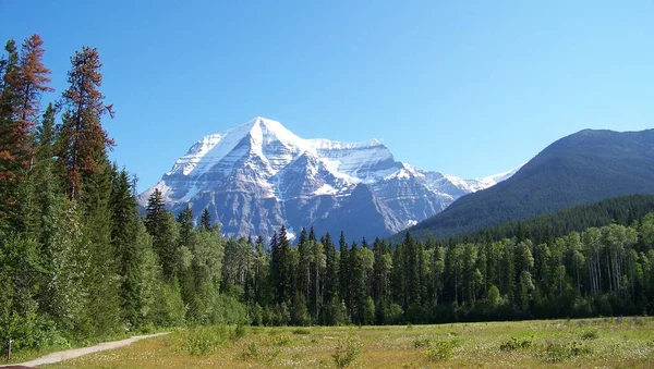 Rocky Mountains Canada Summer — Stockfoto