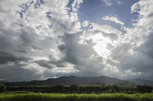 Campo verde com vista para a montanha — Fotografia de Stock