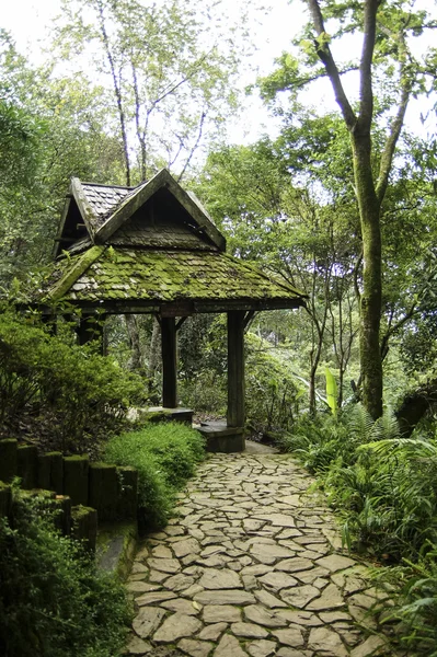 Taş döşeli yol bir tropikal Bahçe