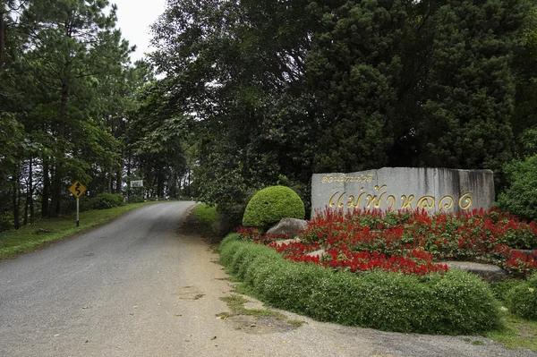 Aus mae fah luang garden, auf doi tung, thailand — Stockfoto