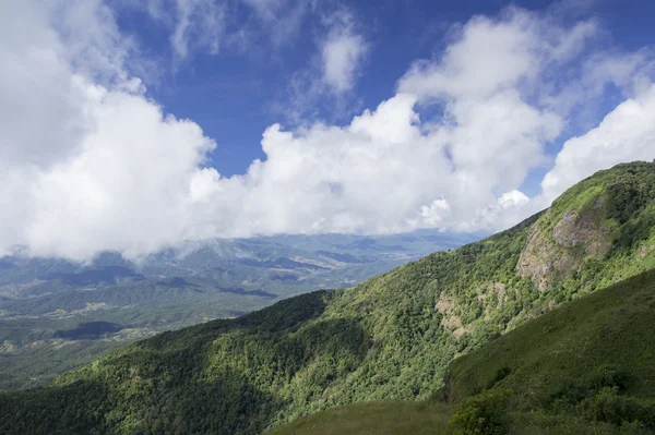 Bela paisagem de montanha verde com árvores — Fotografia de Stock