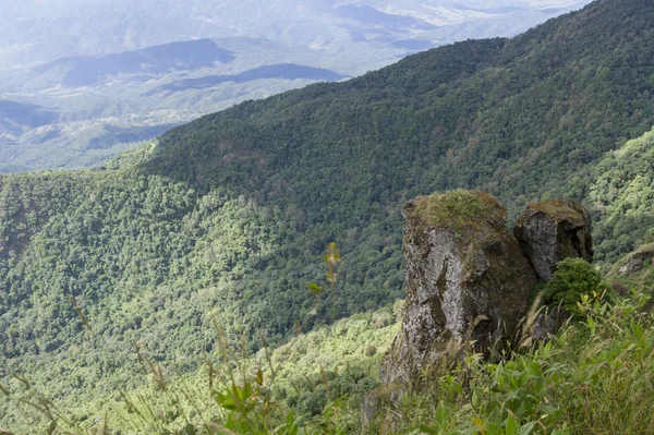 木々と美しい緑の山の風景 — ストック写真