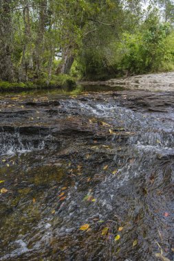 Phu Kradueng Milli Parkı, Tayland
