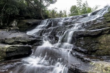 Phu Kradueng Milli Parkı, Tayland