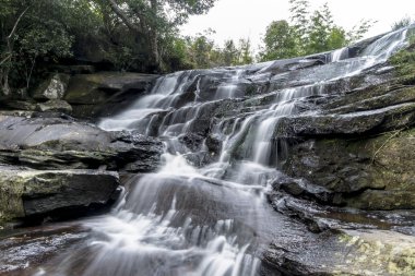 Phu Kradueng Milli Parkı, Tayland