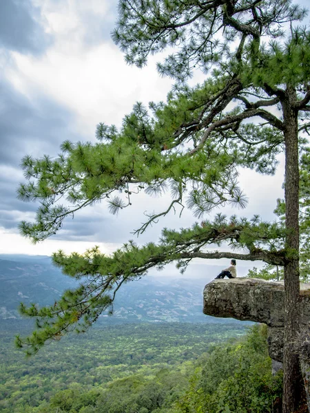 Parque nacional Phu Kradueng, Tailandia Fotos de stock