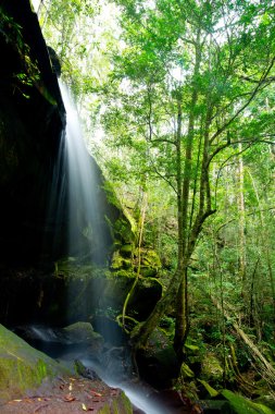 Thamyai şelale, phu Kradueng Milli Parkı: Loei Eyaleti, Tayland.