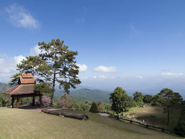 Immergrüner Wald auf dem Gipfel des Huenamdang — Stockfoto
