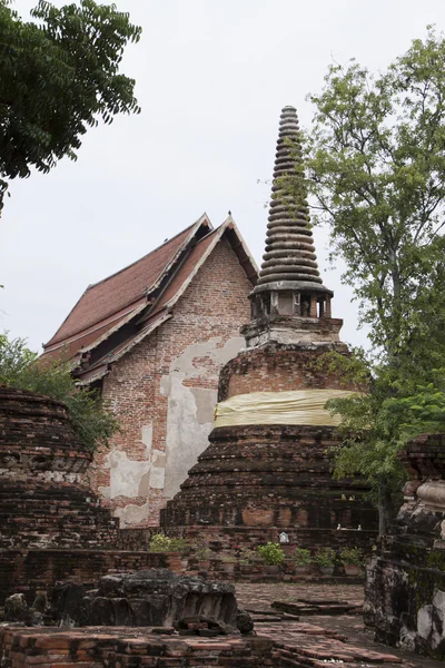 Temple, ayutthaya, thailand (parc historique ayutthaya  ) — Photo