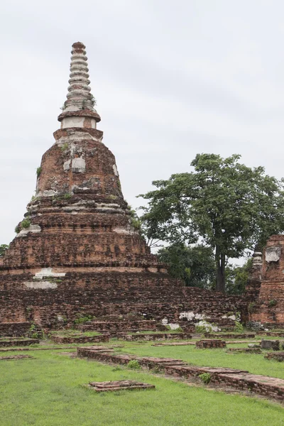 Templo, ayutthaya, tailandia (parque histórico de ayutthaya  ) —  Fotos de Stock