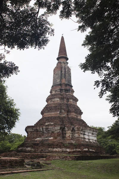 Tempel, ayutthaya, thailand (ayutthaya historisch park ) — Stockfoto