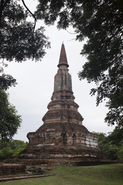 Temple, ayutthaya, thailand (parc historique ayutthaya  ) — Photo