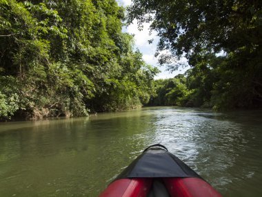 Suratthani, Tayland arka plan nehir üzerinde tekne yüzen