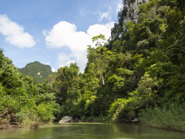 Tropik yağmur ormanı ve nehirde Suratthani, Tayland arka plan