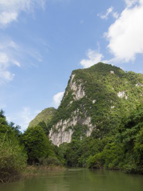 Tropik yağmur ormanı ve nehirde Suratthani, Tayland arka plan