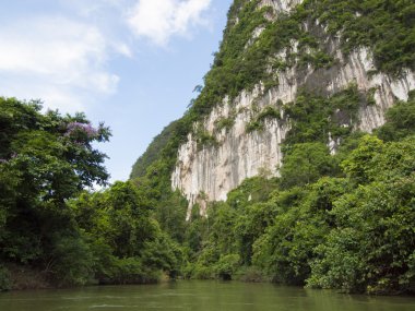 Tropik yağmur ormanı ve nehirde Suratthani, Tayland arka plan