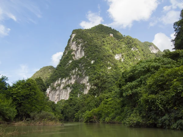 Tropický deštný prales a řeka v pozadí Suratthani, Thajsko — Stock fotografie