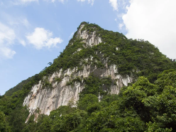 Tropický deštný prales na pozadí Suratthani, Thajsko — Stock fotografie