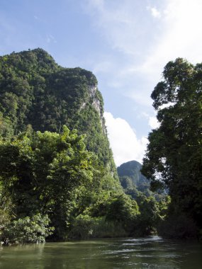 Tropik yağmur ormanı ve nehirde Suratthani, Tayland arka plan