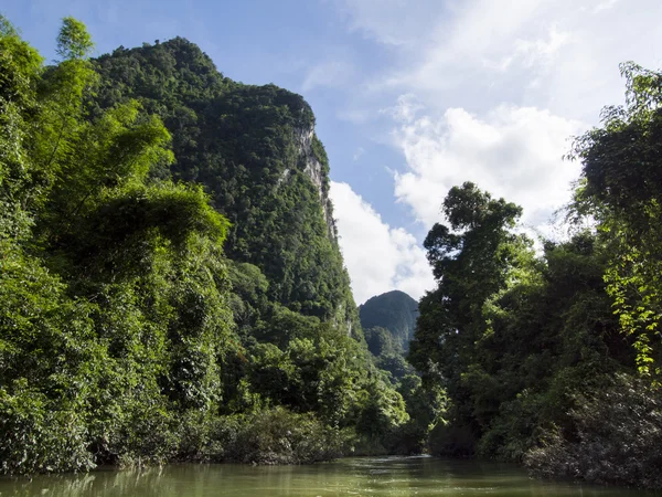 Tropický deštný prales a řeka v pozadí Suratthani, Thajsko — Stock fotografie