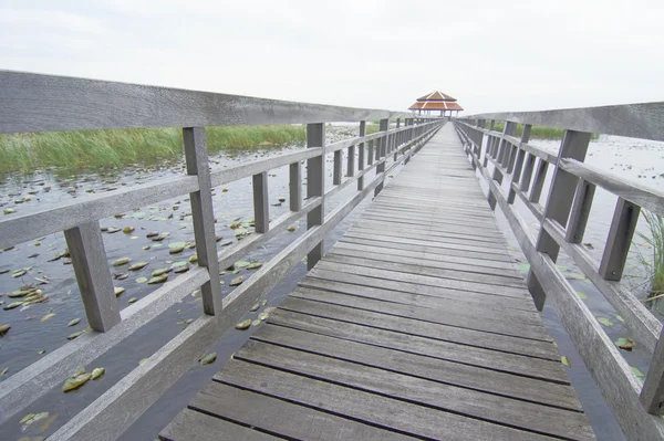 Wooden Bridge in lotus lake at khao sam roi yod national park, thailand — Stock Photo, Image