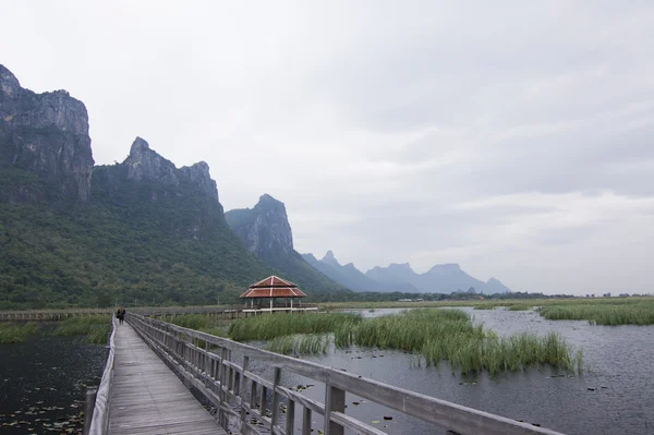Dřevěný most v lotus lake v khao sam roi yod národní park, Thajsko — Stock fotografie
