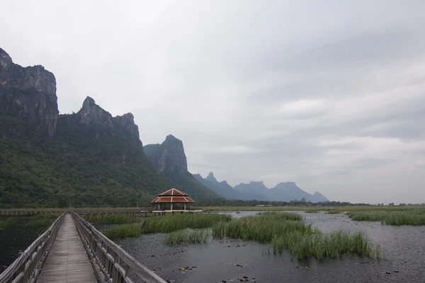 Dřevěný most v lotus lake v khao sam roi yod národní park, Thajsko — Stock fotografie