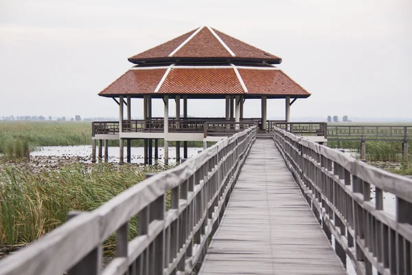 Drewniany most w jezioro lotosu w khao sam roi jod park narodowy, Tajlandia — Zdjęcie stockowe