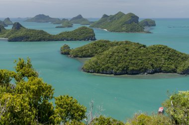 Angthong deniz parkı yakınında koh samui, Tayland. güzel tropik ada mavi gökyüzü ve su, Tay doğa egzotik panoramik. ünlü seyahat hedef