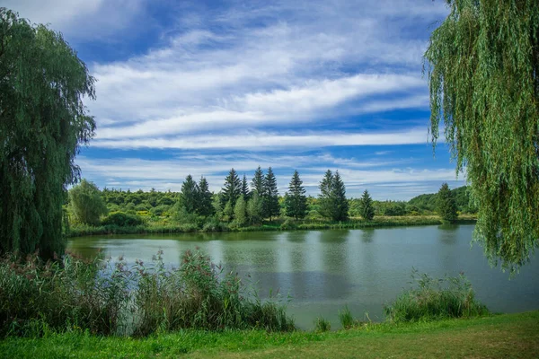 Idílico Paisaje Verano Árboles Verdes Línea Costa Embalse Estanque Tranquilo — Foto de Stock