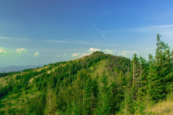 Summer Idyllic Landscape Mountain Green Highland Ridge Scenic View Clear — Stock Photo, Image